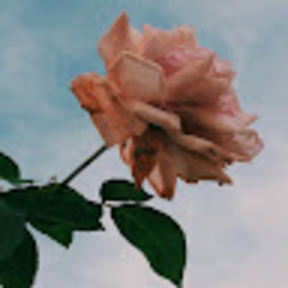 Meet your Posher, Scar - Picture 1 of 1